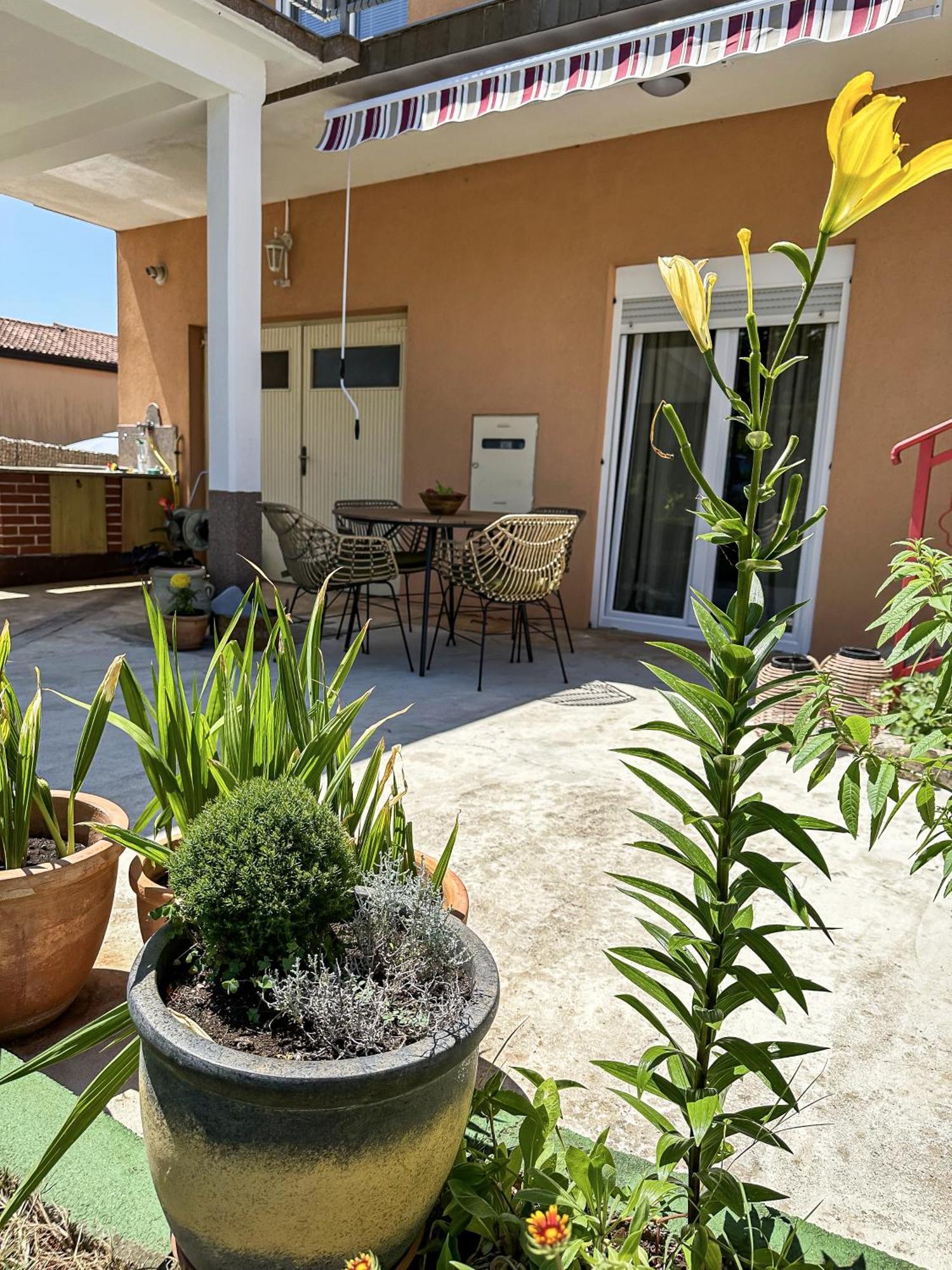 Apartments Dent Umag Zewnętrze zdjęcie