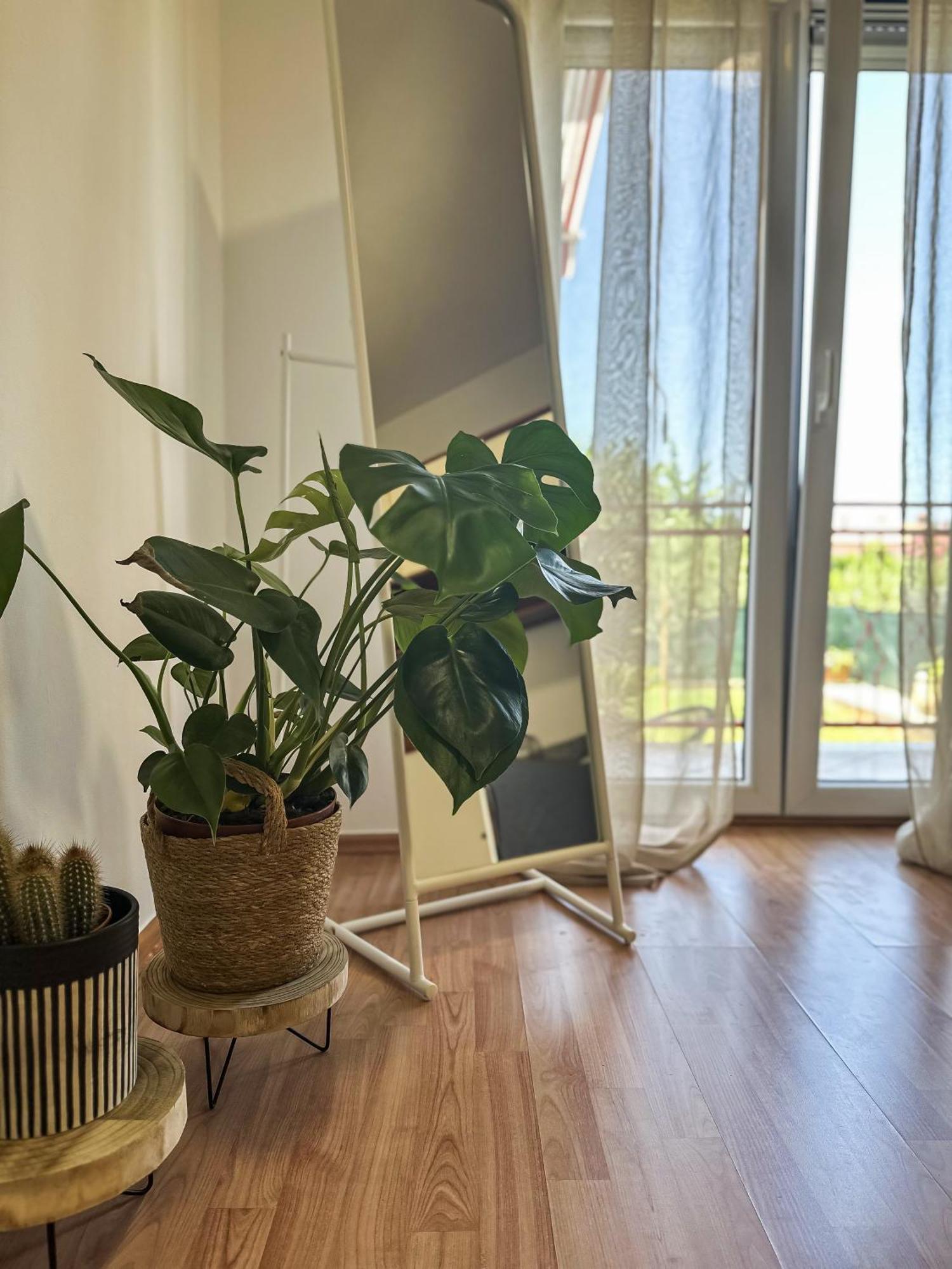 Apartments Dent Umag Zewnętrze zdjęcie